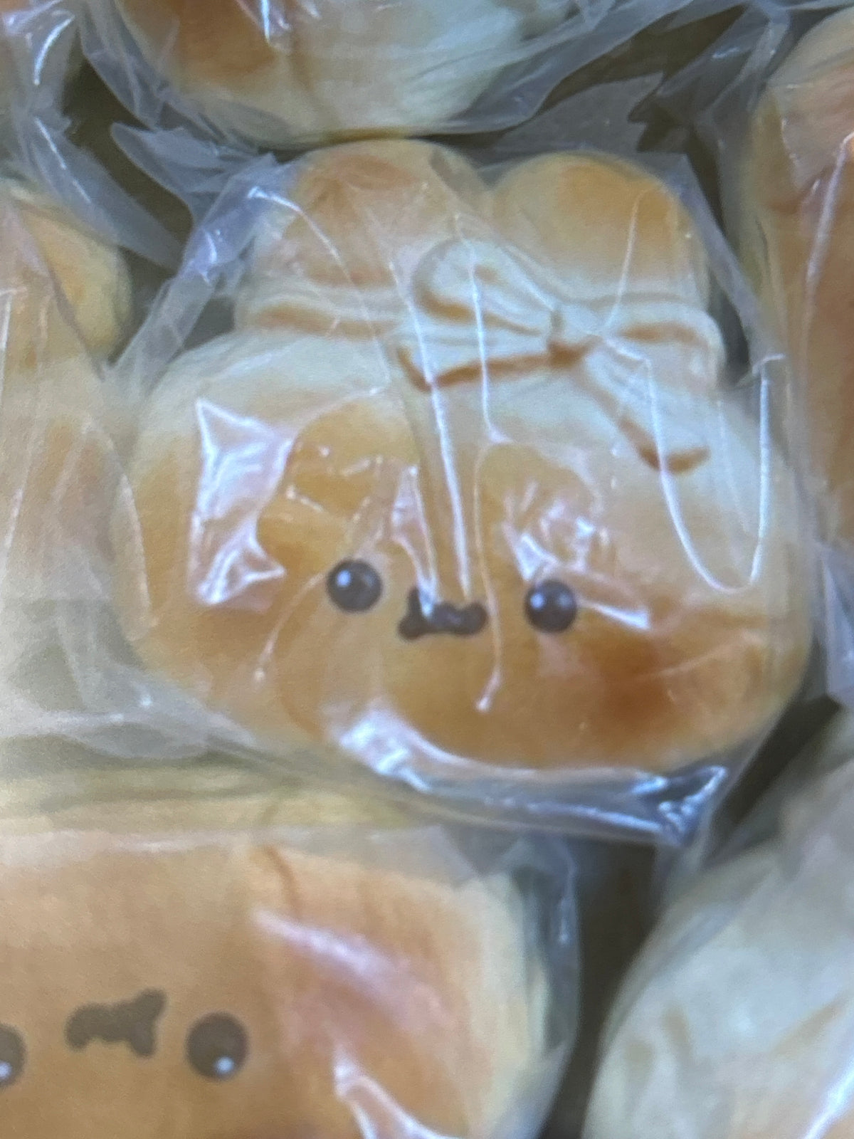 Zoey Burnt Bunny Bread