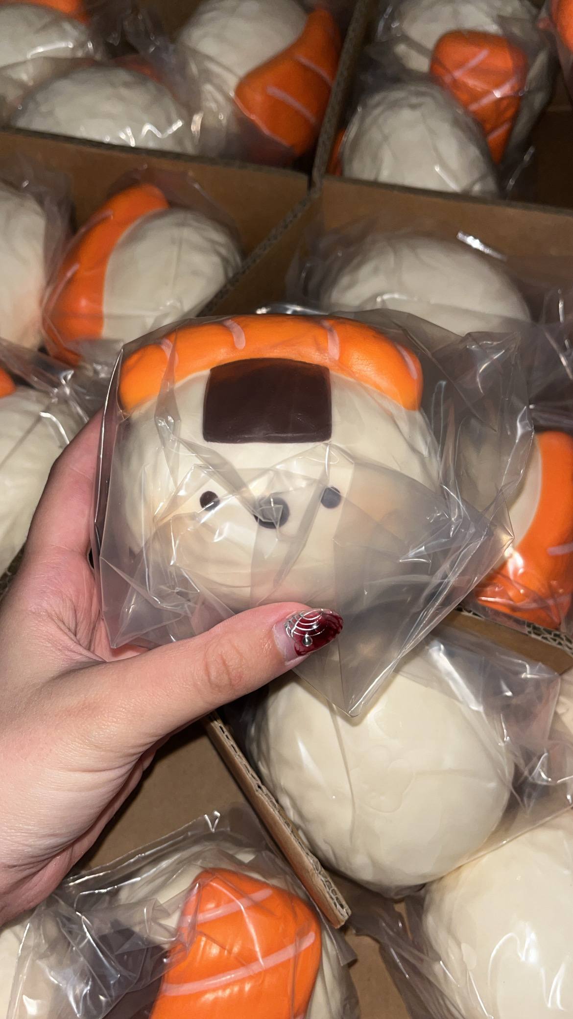 Zoey Salmon Sushi Ball