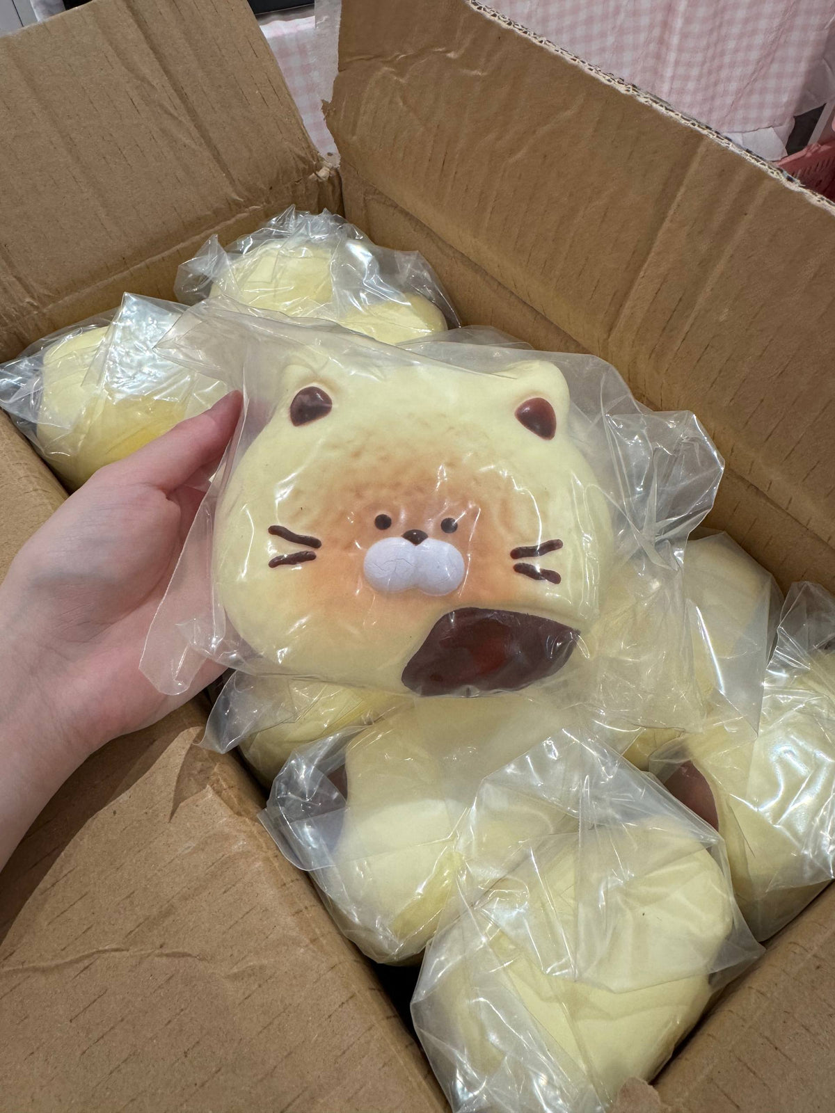 Bing Bing Choco Cat Biscuit