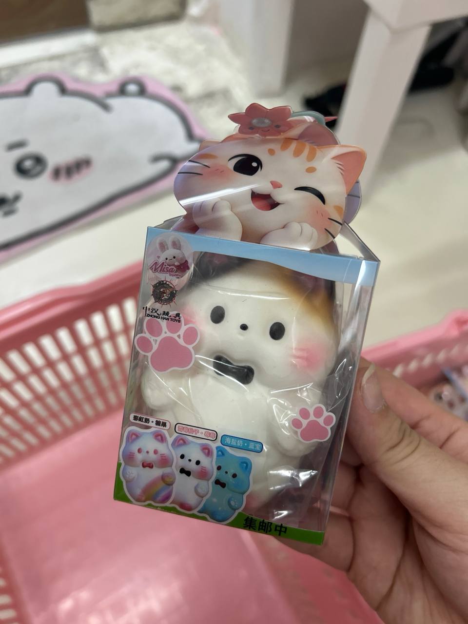Misa Medium Cat