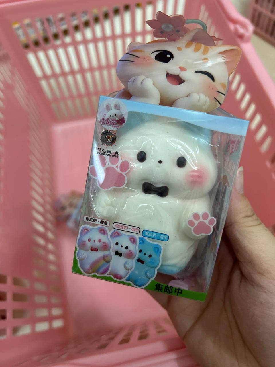 Misa Medium Cat