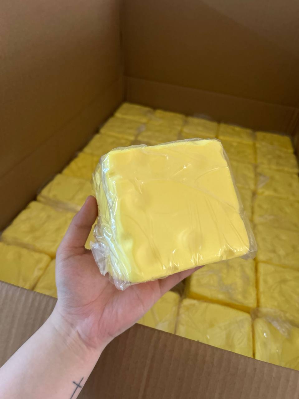 Jumbo Foam Cheese Squishy