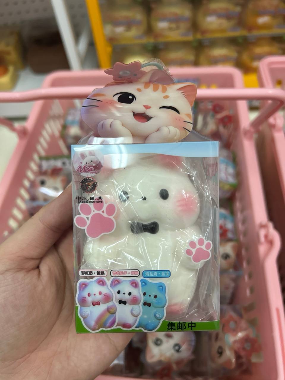 Misa Medium Cat
