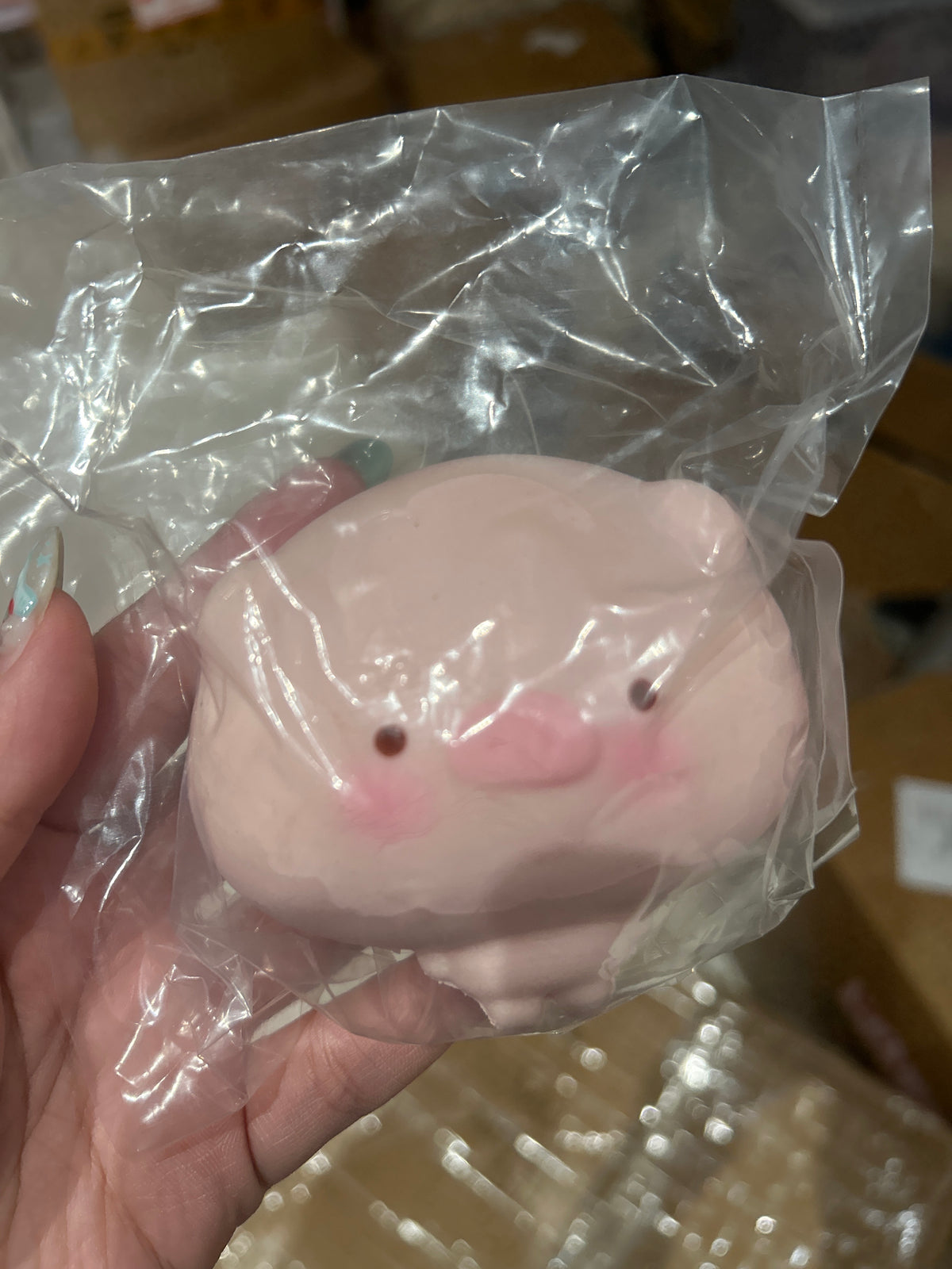 Mooyu Pig baby