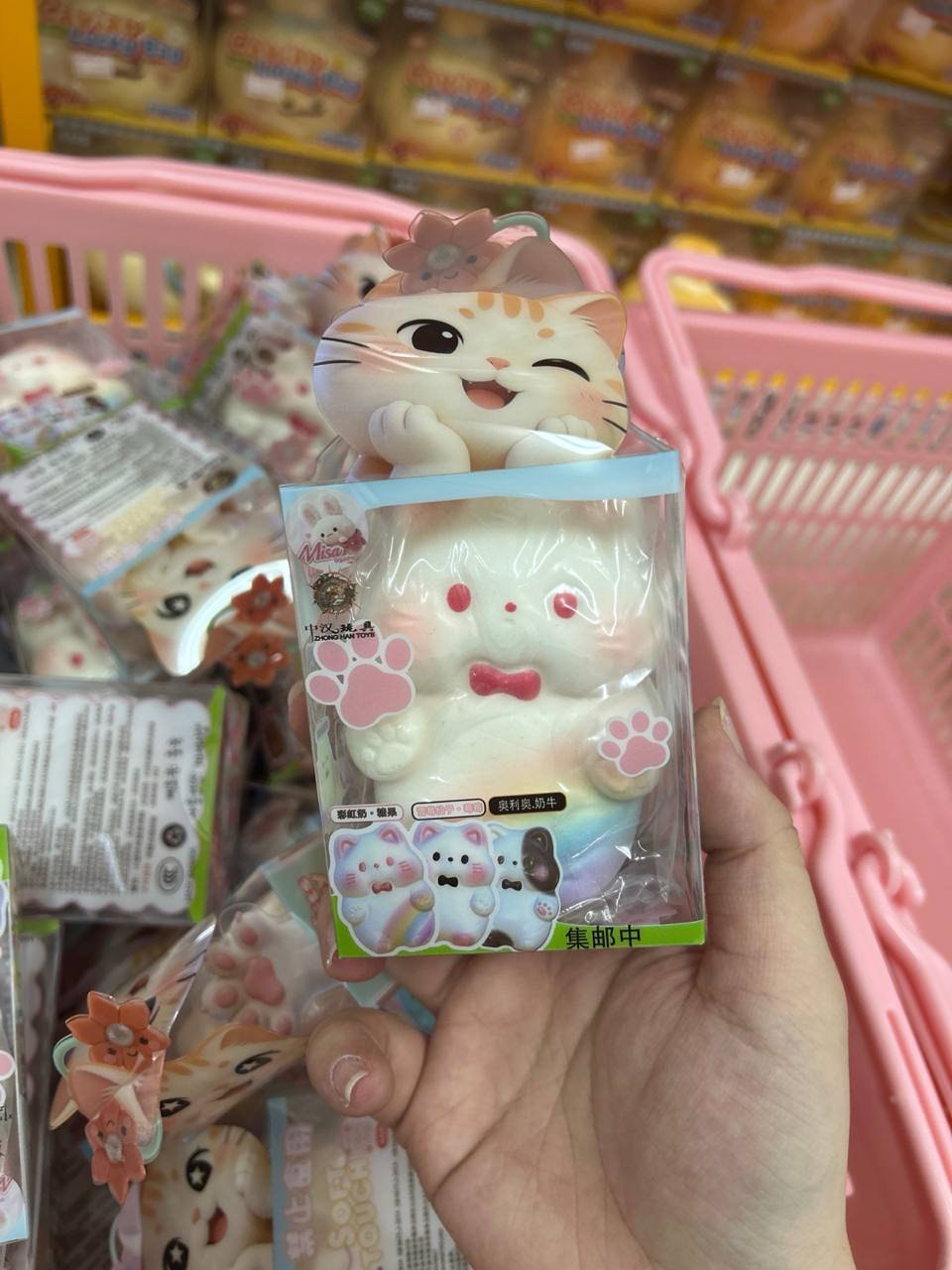 Misa Medium Cat