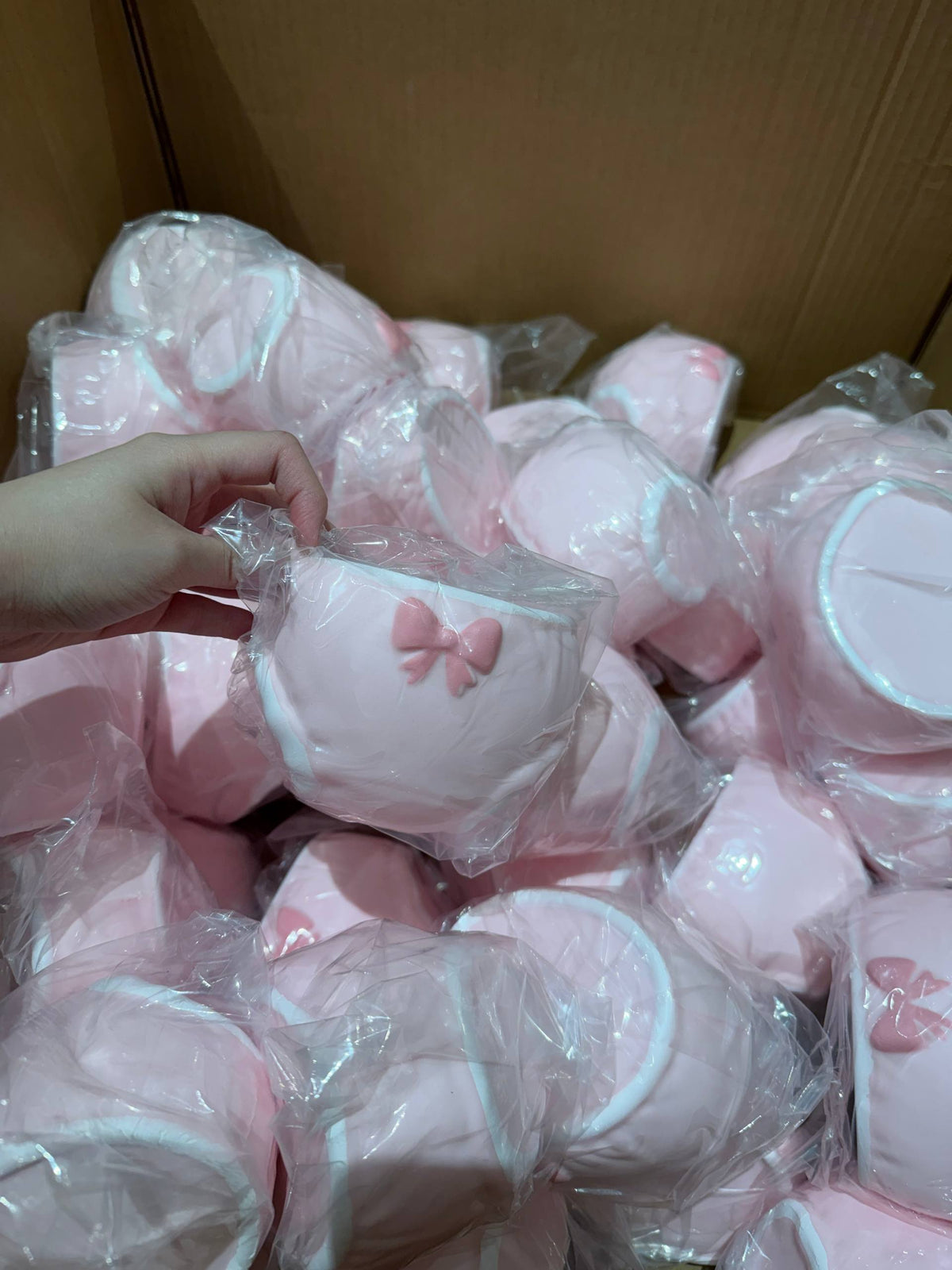 XY Pink Panties