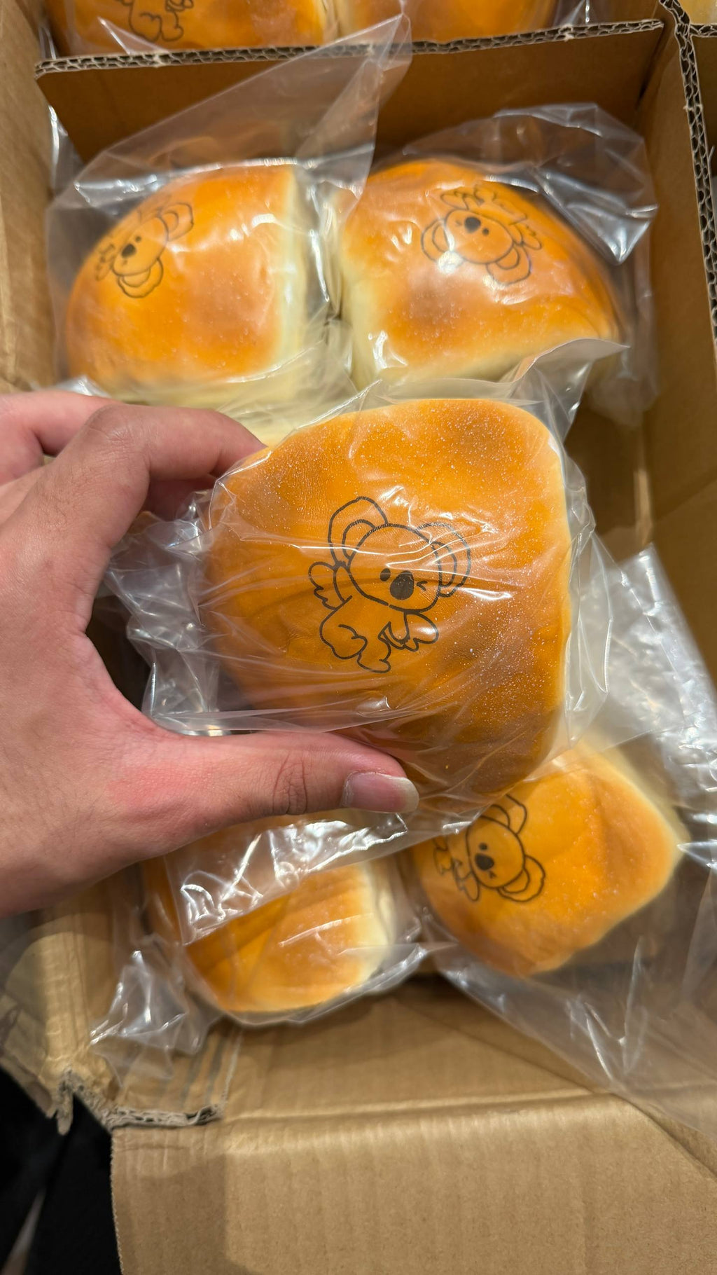 Cos koala bread